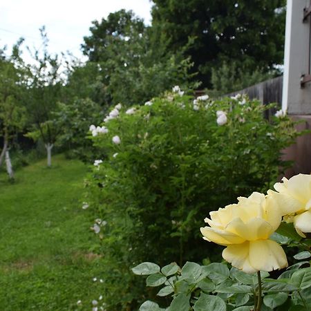 Apartman Mira Saraievo Exterior foto