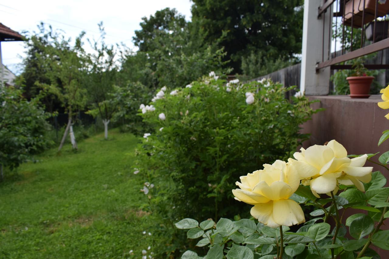 Apartman Mira Saraievo Exterior foto